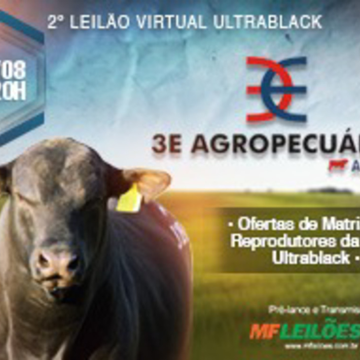 EM BREVE - 2º LEILÃO VIRTUAL ULTRABLACK 3E AGROPECUÁRIA
